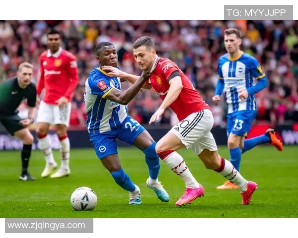 足总杯精彩对决切尔西逆转阿森纳神扑时刻与十大进球回顾